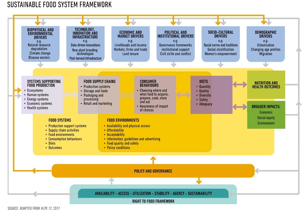 <h3>SUSTAINABLE FOOD SYSTEM FRAMEWORK-HLPE. 2020. </h3>